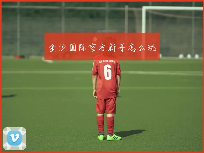 金沙国际官方新手怎么玩