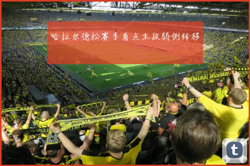 哈拉尔德松赛季看点末段弱侧转移