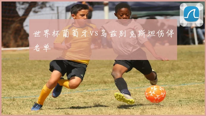 世界杯葡萄牙vs乌兹别克斯坦伤停名单