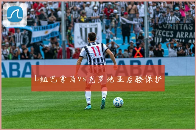 L组巴拿马vs克罗地亚后腰保护