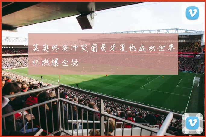 莱奥终场冲突葡萄牙复仇成功世界杯燃爆全场