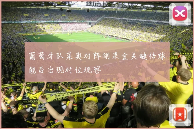 葡萄牙队莱奥对阵刚果金关键传球能否出现对位观察