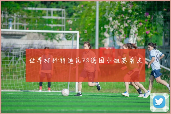 世界杯科特迪瓦vs德国小组赛看点