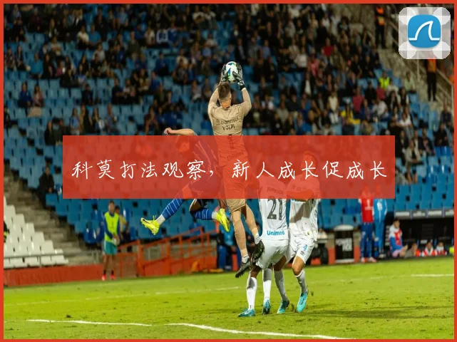 科莫打法观察,新人成长促成长